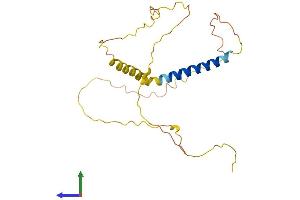 AlphaFold protein structure predicition of Human Recombinant KCNE4 Protein, UniprotID Q8WWG9