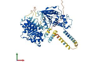 Protein Structure (PS) image for DEAD (Asp-Glu-Ala-Asp) Box Polypeptide 55 (DDX55) (AA 1-600) protein (His tag) (ABIN7547068)