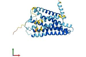 AlphaFold protein structure predicition of Human Recombinant OR1F1 Protein, UniprotID O43749