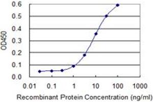 Detection limit for recombinant GST tagged SNAI2 is 0. (SLUG antibody  (AA 97-169))