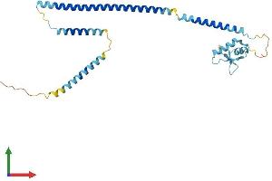 Protein Structure (PS) image for Centromere Protein K (CENPK) (AA 1-271) protein (His tag) (ABIN7561478)