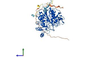 AlphaFold protein structure predicition of Mouse Recombinant Hdac1 Protein, UniprotID O09106 (HDAC1 Protein (AA 1-482) (His tag))