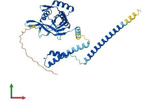 AlphaFold protein structure predicition of Human Recombinant COPS6 Protein, UniprotID Q7L5N1 (COPS6 Protein (AA 1-327) (His tag))