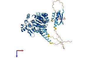 AlphaFold protein structure predicition of Human Recombinant DDX53 Protein, UniprotID Q86TM3 (DDX53 Protein (AA 1-631) (His tag))