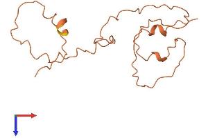 Keratin Associated Protein 9-4 (KRTAP9-4) (AA 1-154) protein (His tag)