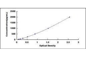 Defensin, alpha 5, Paneth Cell-Specific (DEFA5) ELISA Kit