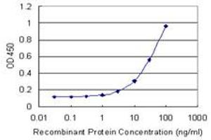 Detection limit for recombinant GST tagged ANXA9 is 1 ng/ml as a capture antibody. (Annexin A9 antibody  (AA 1-338))