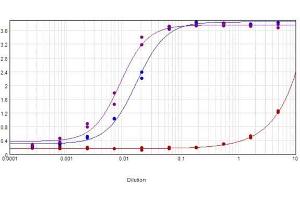 ELISA results of purified Donkey anti-Mouse IgG Biotin conjugated Antibody tested against Mouse IgG.