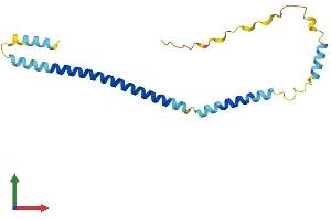 AlphaFold protein structure predicition of Human Recombinant CHMP4BP1 Protein, UniprotID P59074 (CHMP4BP1 Protein (AA 1-171) (His tag))