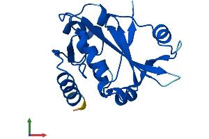 AlphaFold protein structure predicition of Human Recombinant PRORSD1P Protein, UniprotID A6NEY8 (PRORSD1P Protein (AA 1-169) (His tag))
