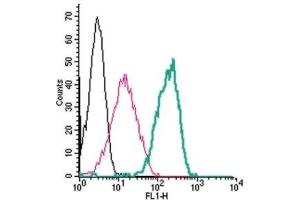 Cell surface detection of Calcium Sensing Receptor by indirect flow cytometry in live intact human THP-1 monocytic leukemia cells:(black line) Cells. (CASR antibody  (Extracellular, N-Term))