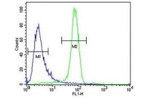 Anti-EGFR antibody flow cytometric analysis of K562 cells (right histogram) compared to a negative control cell (left histogram). (EGFR antibody  (AA 1004-1033))