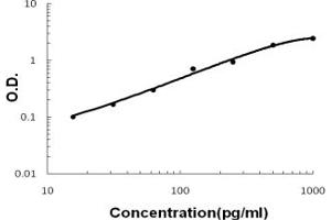 Sandwich ELISA - Recombinant human Tissue Factor/F3 protein standard curve.