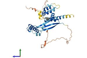 AlphaFold protein structure predicition of Mouse Recombinant Dedd2 Protein, UniprotID Q8QZV0