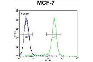 C1QL4 Antibody (N-term) flow cytometric analysis of MCF-7 cells (right histogram) compared to a negative control cell (left histogram).