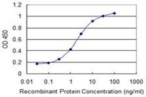 Detection limit for recombinant GST tagged CKMT1B is 0. (CKMT1B antibody  (AA 327-417))