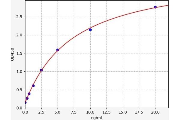 SNAP25 ELISA Kit