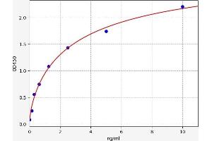 Typical standard curve (Ephrin A3 ELISA Kit)