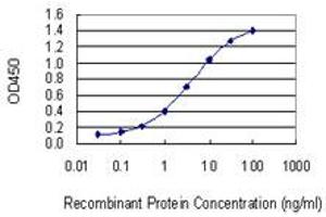 Detection limit for recombinant GST tagged COG7 is 0. (COG7 antibody  (AA 1-770))