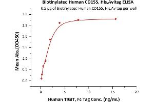 Immobilized Biotinylated Human CD155, His,Avitag (ABIN6386413,ABIN6388286) at 5 μg/mL (100 μL/well) via streptavidin can bind Human TIGIT, Fc Tag (ABIN2181815,ABIN6951013) with a linear range of 0. (Poliovirus Receptor Protein (PVR) (AA 21-343) (His tag,AVI tag,Biotin))