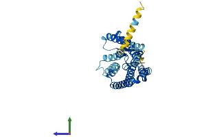 AlphaFold protein structure predicition of Human Recombinant OR52I1 Protein, UniprotID Q8NGK6 (OR52I1 Protein (AA 1-324) (His tag))