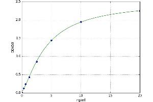 Coenzyme Q10 Homolog B (COQ10B) ELISA Kit