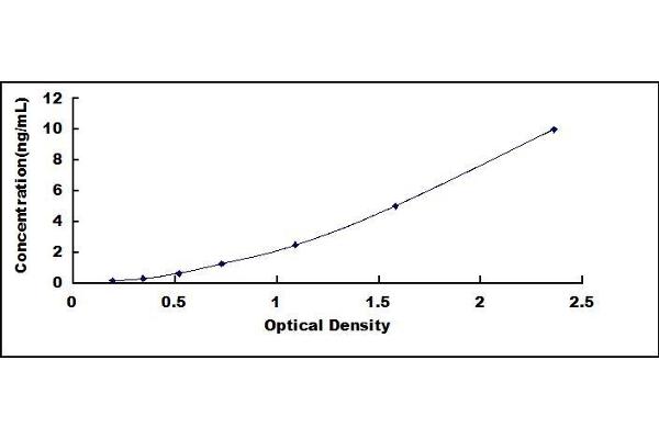 CSN3 ELISA Kit