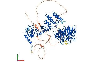 AlphaFold protein structure predicition of Mouse Recombinant Klhl1 Protein, UniprotID Q9JI74 (KLHL1 Protein (AA 1-751) (His tag))