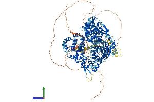 AlphaFold protein structure predicition of Mouse Recombinant Helq Protein, UniprotID Q2VPA6 (HEL308 Protein (AA 1-1069) (His tag))