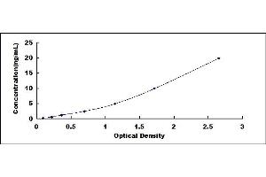 Typical standard curve (Glucuronidase beta ELISA Kit)