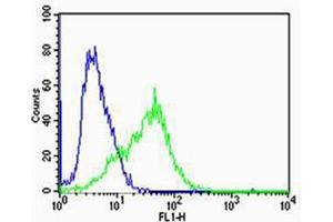 Flow cytometric analysis of Jurkat cells using CHRNA9 Antibody (N-term)(green, Cat(ABIN1944733 and ABIN2838559)) compared to an isotype control of rabbit IgG(blue). (CHRNA9 antibody  (N-Term))