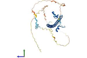 AlphaFold protein structure predicition of Human Recombinant DBP Protein, UniprotID Q10586 (DBP Protein (AA 1-325) (His tag))