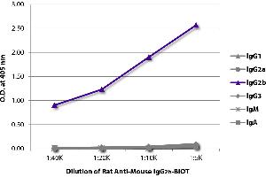 ELISA plate was coated with purified mouse IgG1, IgG2a, IgG2b, IgG3, IgM, and IgA. (Rat anti-Mouse IgG2b Antibody (Biotin))