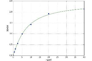 A typical standard curve (MST1L ELISA Kit)