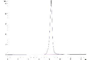 Size-exclusion chromatography-High Pressure Liquid Chromatography (SEC-HPLC) image for Fms-Related tyrosine Kinase 3 Ligand (FLT3LG) (AA 27-185) protein (His tag) (ABIN7274656)