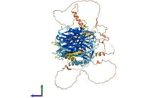 AlphaFold protein structure predicition of Mouse Recombinant C2cd5 Protein, UniprotID Q7TPS5 (C2CD5/KIAA0528 Protein (AA 1-1016) (His tag))