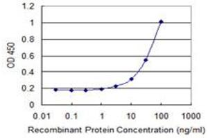 Detection limit for recombinant GST tagged SLC27A2 is 1 ng/ml as a capture antibody. (SLC27A2 antibody  (AA 25-123))