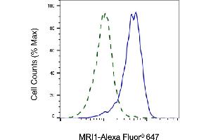 Validation of MRI1 knockdown using flow cytometry.