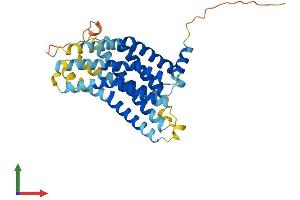 AlphaFold protein structure predicition of Human Recombinant GPR146 Protein, UniprotID Q96CH1