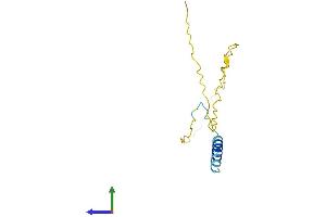 AlphaFold protein structure predicition of Human Recombinant C11orf71 Protein, UniprotID Q6IPW1