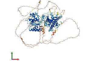 AlphaFold protein structure predicition of Human Recombinant DDX31 Protein, UniprotID Q9H8H2 (DDX31 Protein (AA 1-851) (His tag))