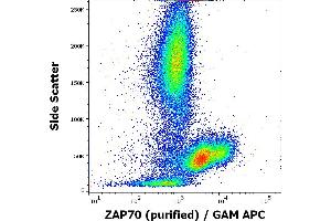 Flow cytometry intracellular staining pattern of human peripheral whole blood using anti-ZAP70 (ZAP-03) purified antibody (concentration in sample 9 μg/mL, GAM APC). (ZAP70 antibody  (C-Term))