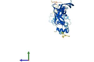 Protein Structure (PS) image for DnaJ (Hsp40) Homolog, Subfamily B, Member 13 (DNAJB13) (AA 1-316) protein (His tag) (ABIN7547151)