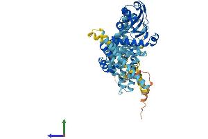 Protein Structure (PS) image for AarF Domain Containing Kinase 5 (ADCK5) (AA 1-582) protein (His tag) (ABIN7558350)