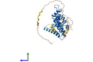 Protein Structure (PS) image for Nuclear Receptor Subfamily 2, Group F, Member 2 (NR2F2) (AA 1-414) protein (His tag) (ABIN7546759)