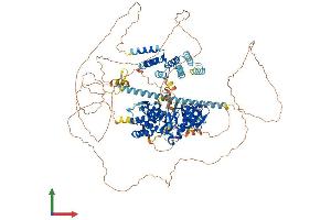 AlphaFold protein structure predicition of Human Recombinant BUB1 Protein, UniprotID O43683