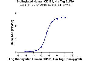 ELISA image for Killer Cell Lectin-Like Receptor Subfamily B, Member 1 (KLRB1) (AA 67-225) protein (His-Avi Tag,Biotin) (ABIN7274083)