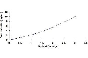 Activating Transcription Factor 6 (ATF6) ELISA Kit
