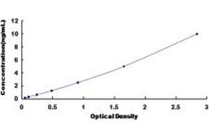 ELISA image for Nuclear Factor of kappa Light Polypeptide Gene Enhancer in B-Cells 2 (NFKB2) ELISA Kit (ABIN6958241)