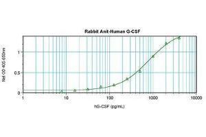 Image no. 2 for anti-Colony Stimulating Factor 3 (Granulocyte) (CSF3) antibody (ABIN465578) (G-CSF antibody)